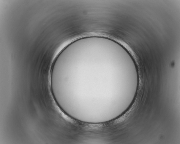 X0000090881294200707271008