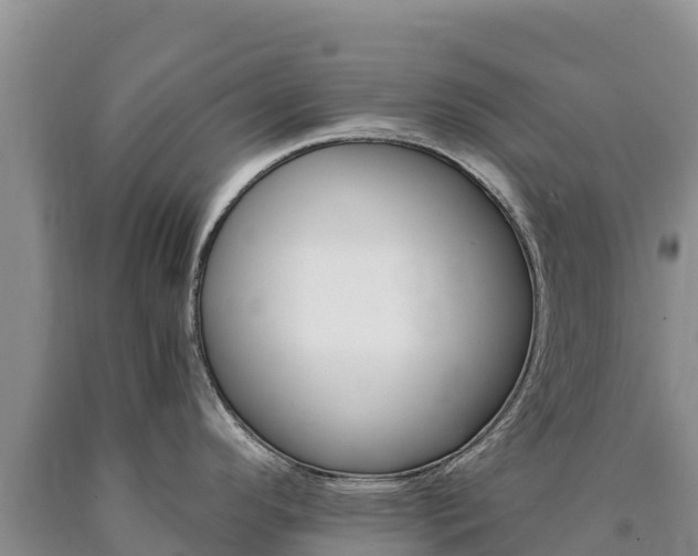 X0000090881296200707271008