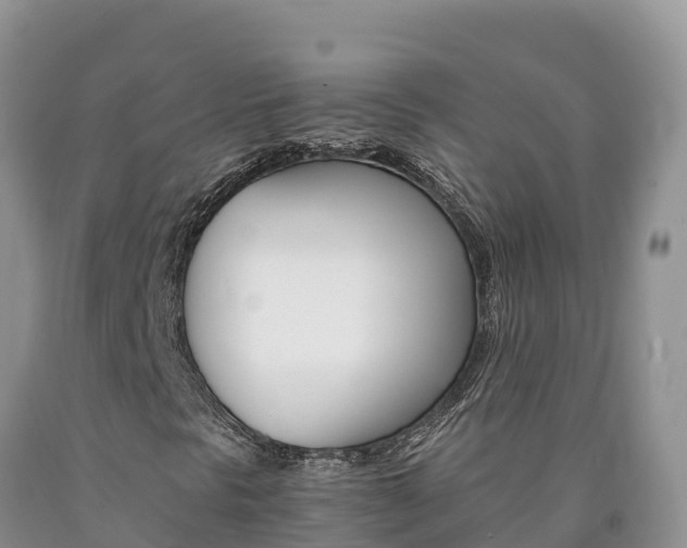 X0000090881297200707271007