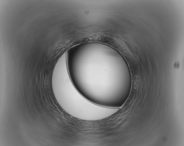 X0000090881298200707271007