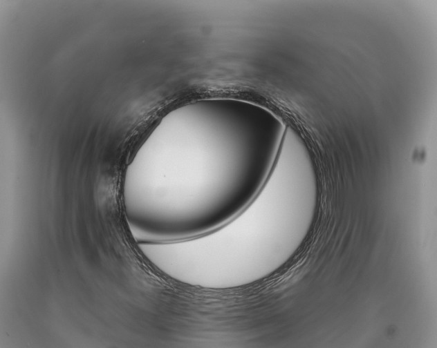 X0000090881300200707271007
