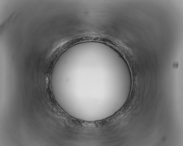 X0000090881302200707271007