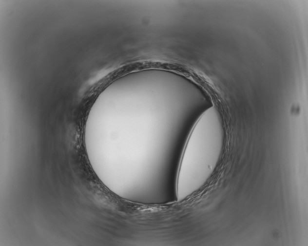 X0000090881303200707271007