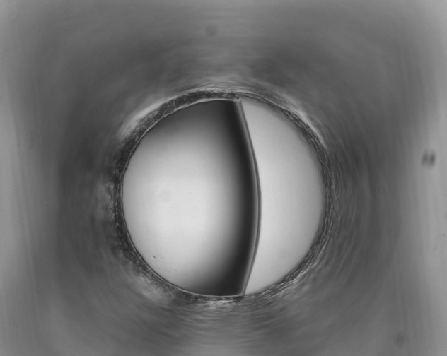 X0000090881304200707271007