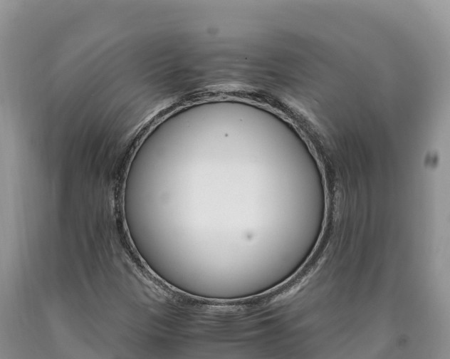 X0000090881305200707271007