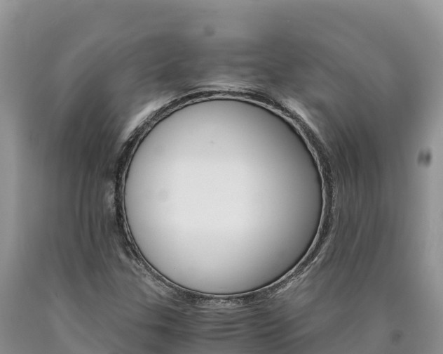 X0000090881307200707271007