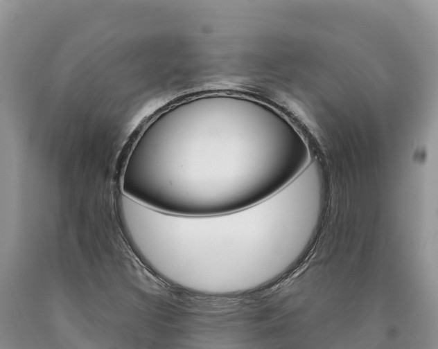 X0000090881308200707271007