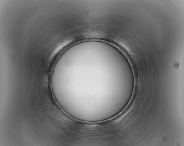 X0000090881309200707271007