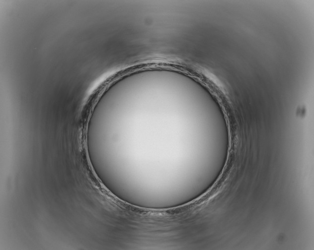 X0000090881310200707271007