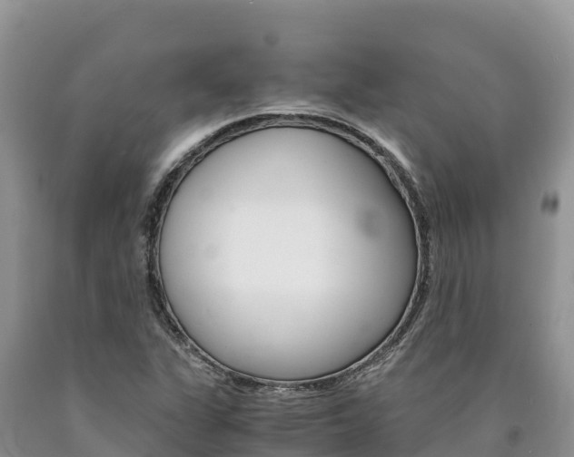 X0000090881311200707271007
