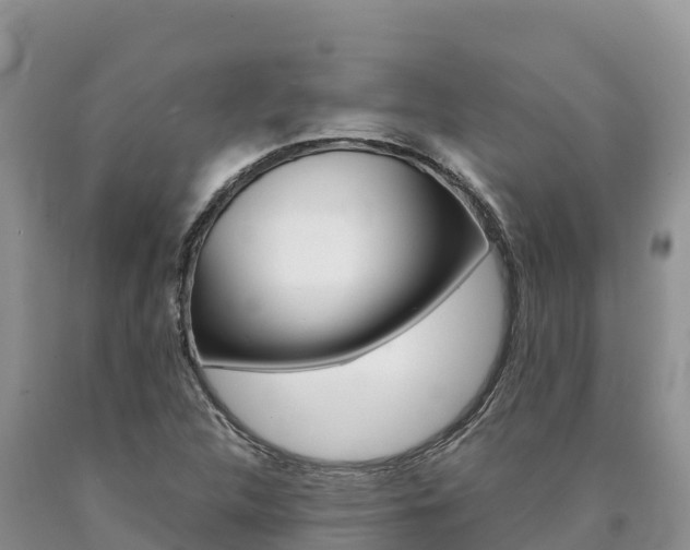X0000090881312200707271007