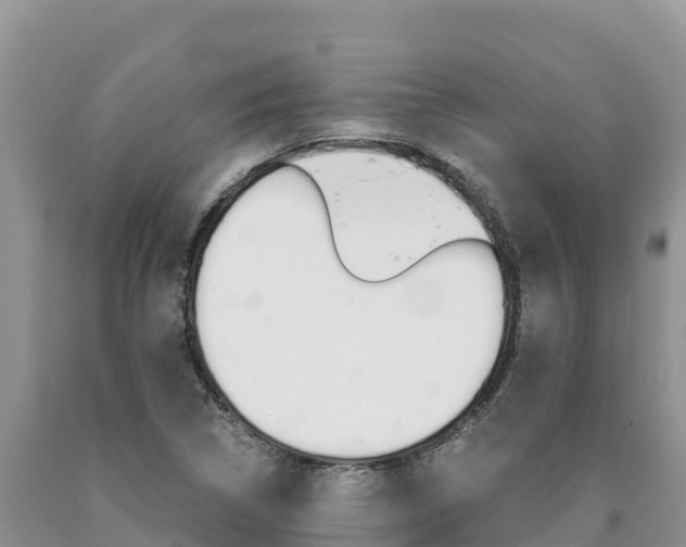 X0000090881314200707271007