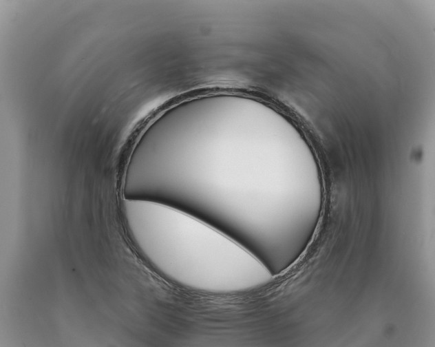 X0000090881315200707271007