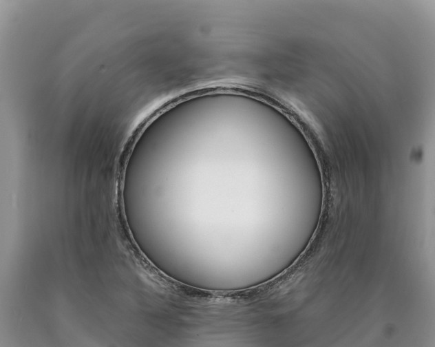 X0000090881316200707271007