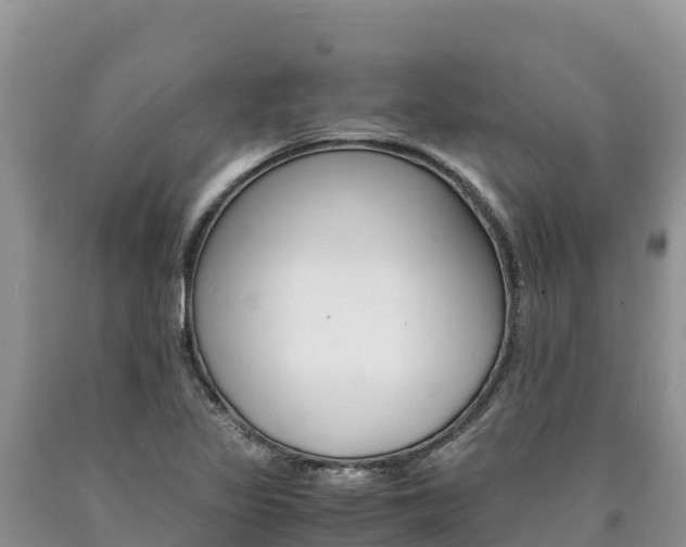 X0000090881317200707271007