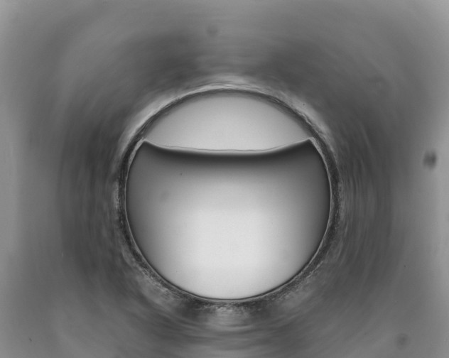 X0000090881318200707271007