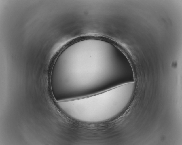 X0000090881319200707271007