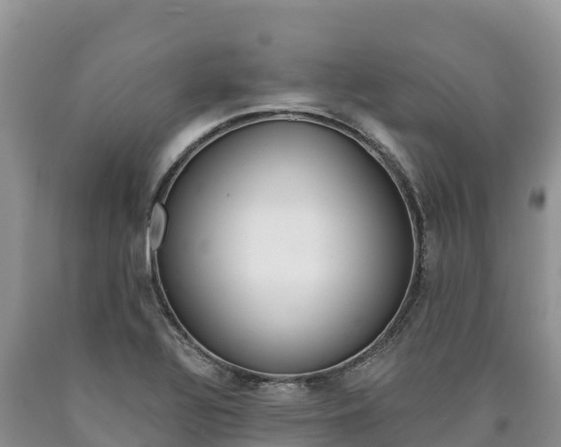 X0000090881320200707271007