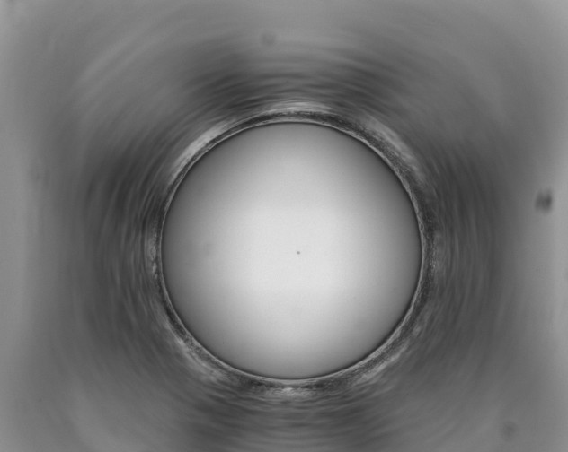 X0000090881321200707271007