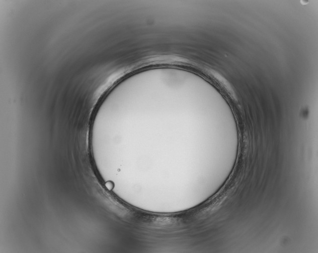 X0000090881322200707271007