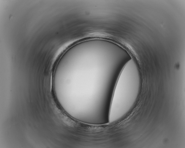X0000090881323200707271007