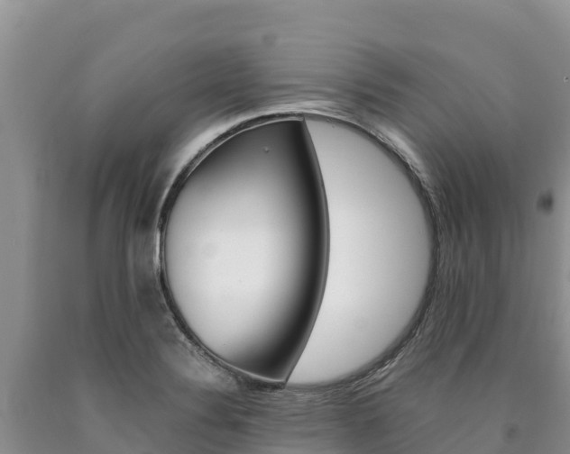 X0000090881324200707271007