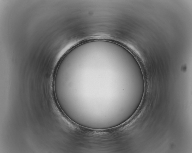 X0000090881325200707271007