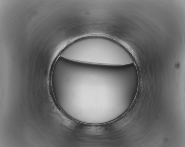 X0000090881327200707271007