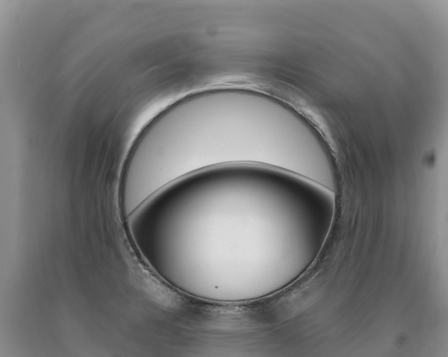 X0000090881328200707271007