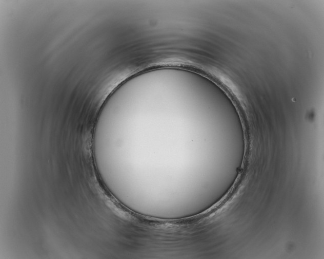 X0000090881329200707271008