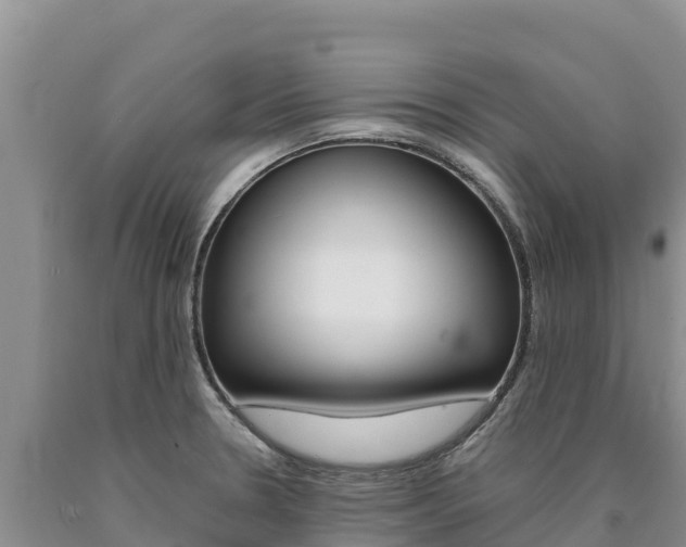 X0000090881330200707271008