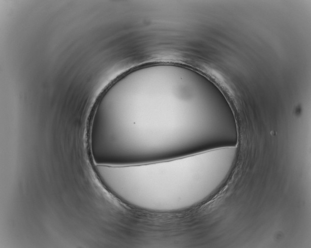 X0000090881331200707271008