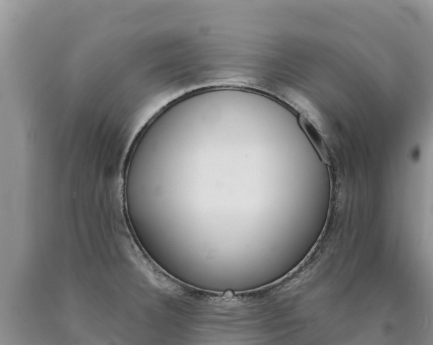 X0000090881332200707271008