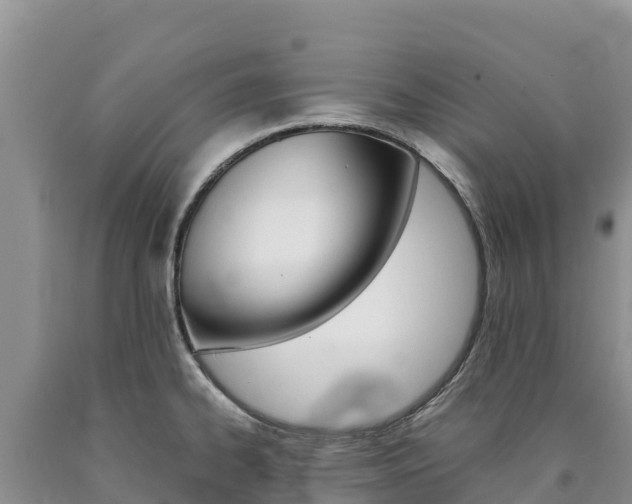 X0000090881334200707271008