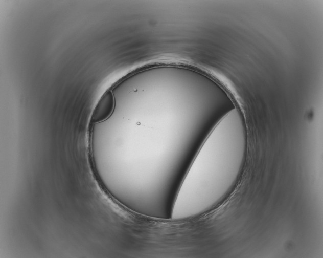X0000090881335200707271008