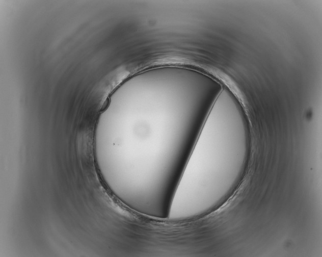 X0000090881337200707271008