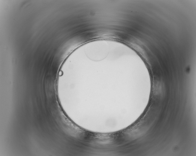 X0000090881338200707271008
