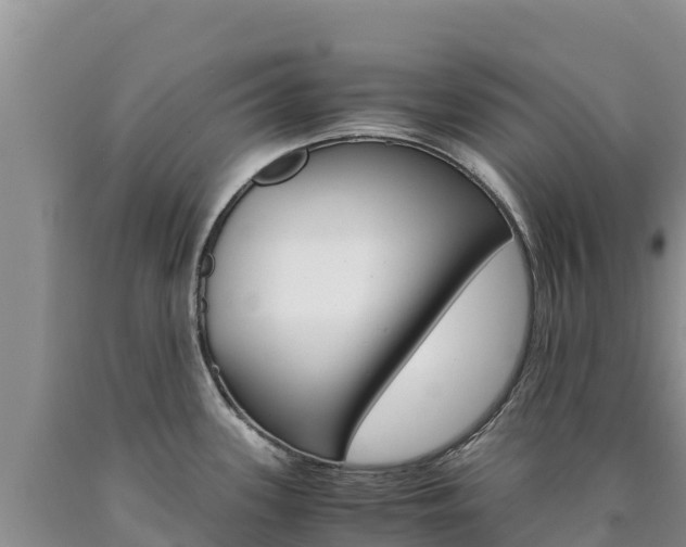 X0000090881339200707271008