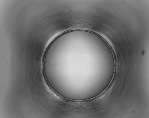 X0000090881341200707271008