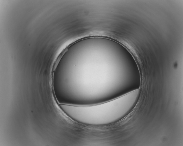 X0000090881342200707271008