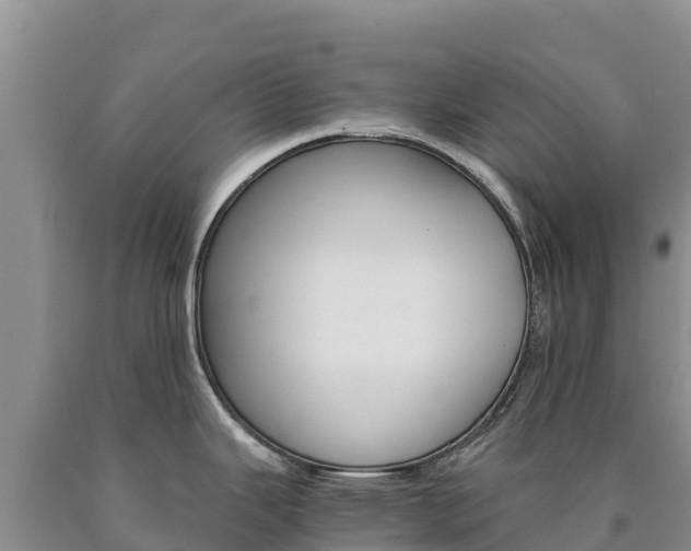 X0000090881343200707271008