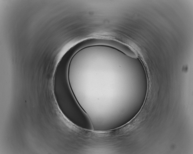 X0000090881344200707271008