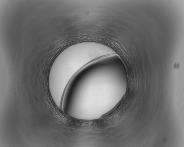 X0000090881345200707271007