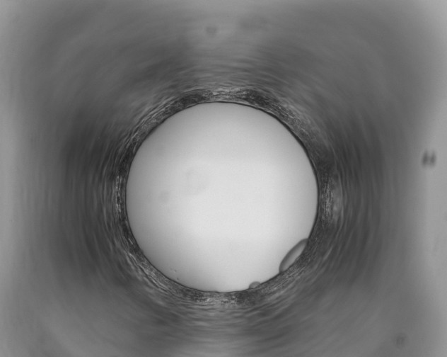 X0000090881346200707271007