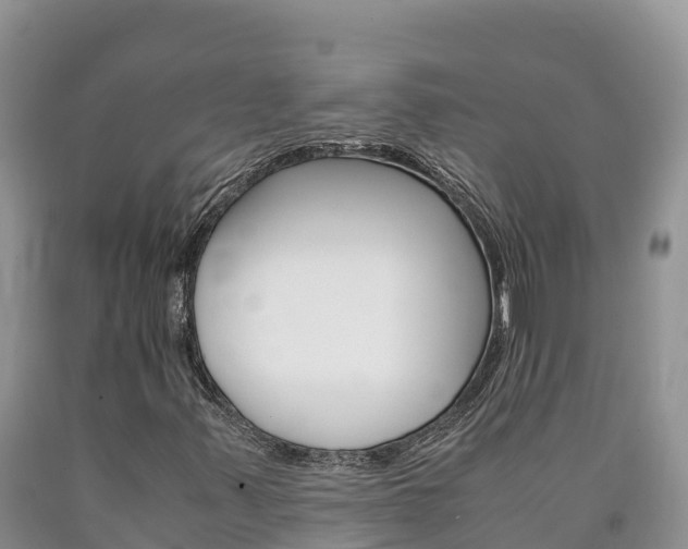 X0000090881347200707271007