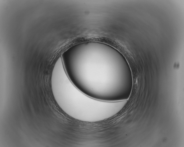 X0000090881348200707271007