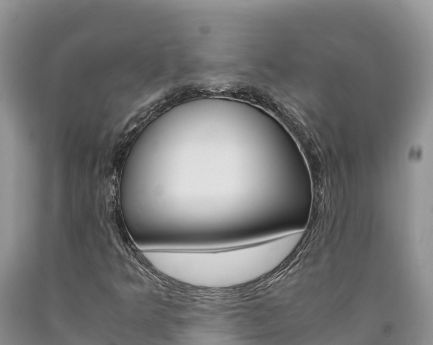 X0000090881349200707271007