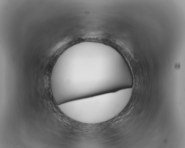 X0000090881350200707271007