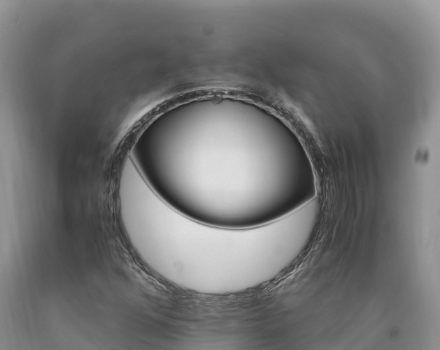 X0000090881352200707271007