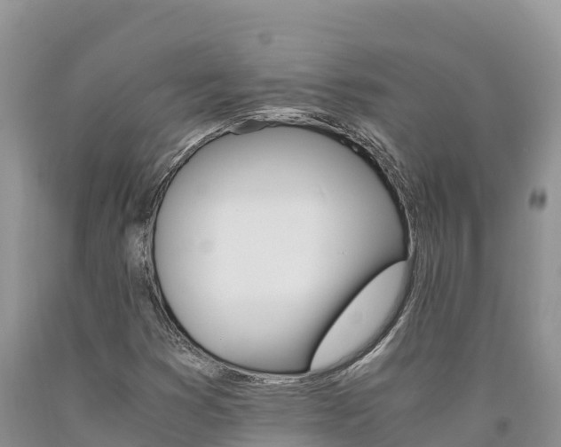 X0000090881353200707271007
